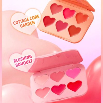 پالت رژگونه قلبی شیگلم