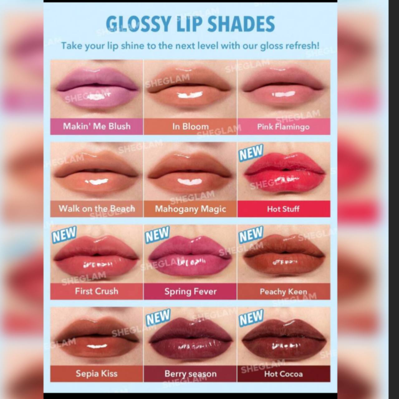 لیپ پلامپر شیگلم