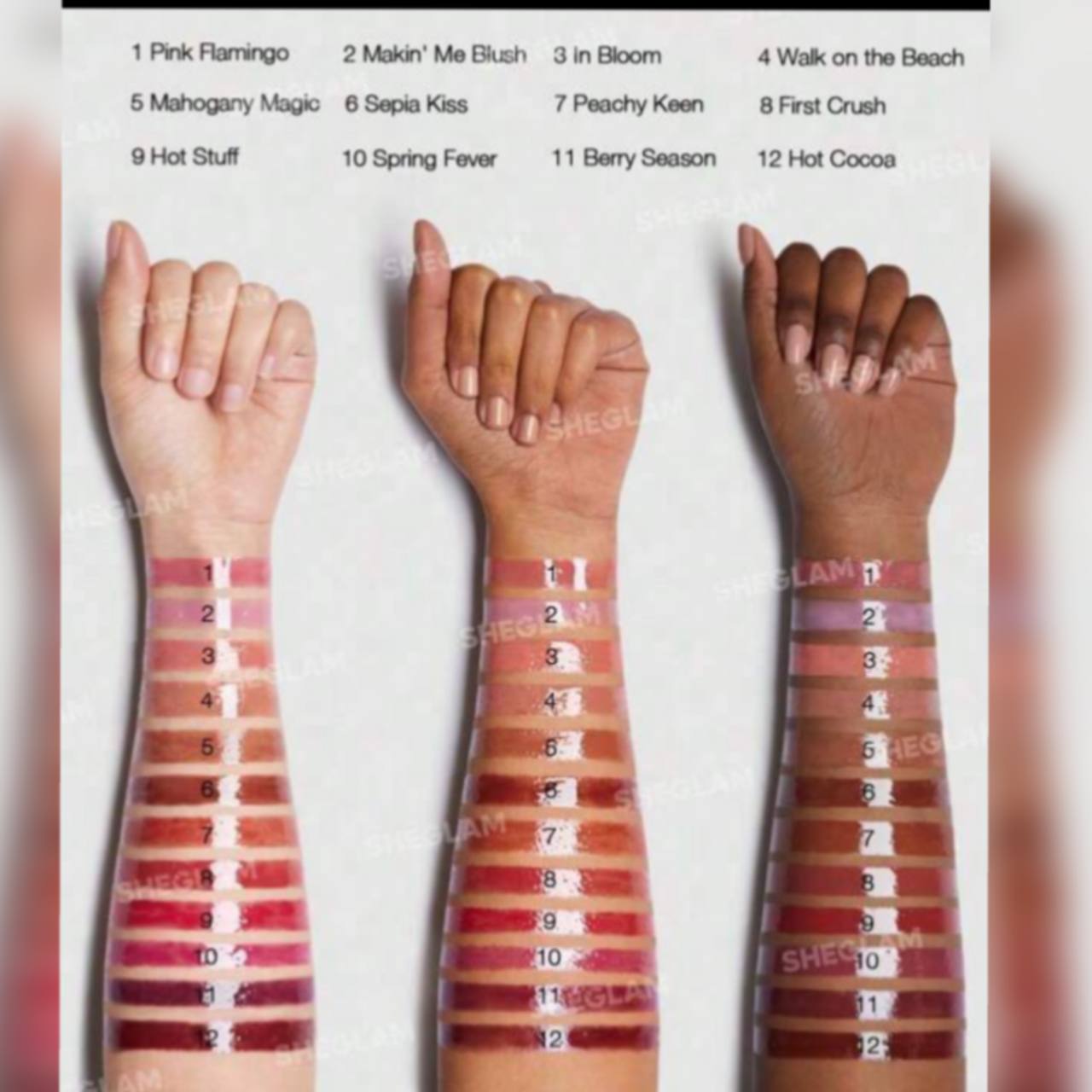 لیپ پلامپر شیگلم