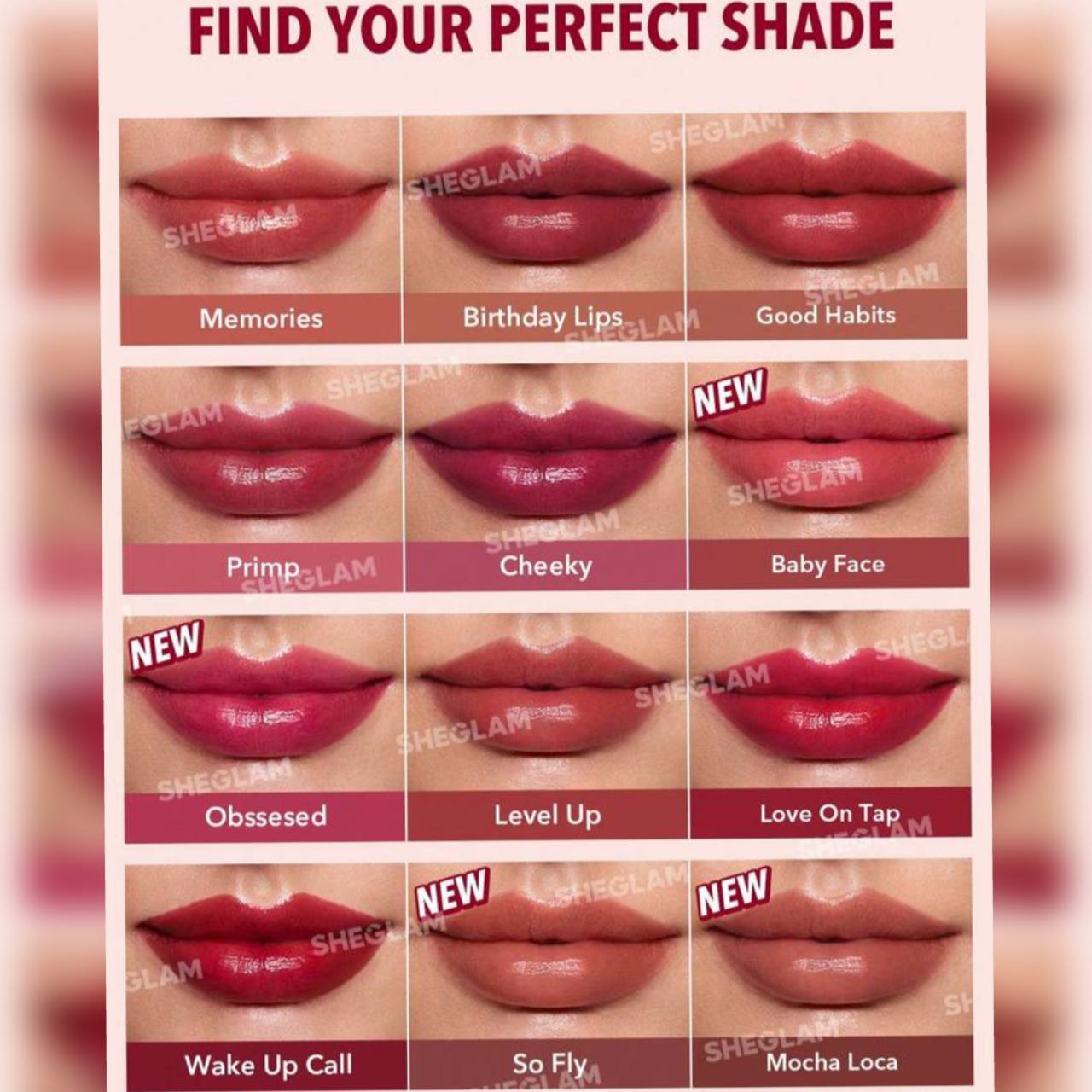 تینت لب شیگلم