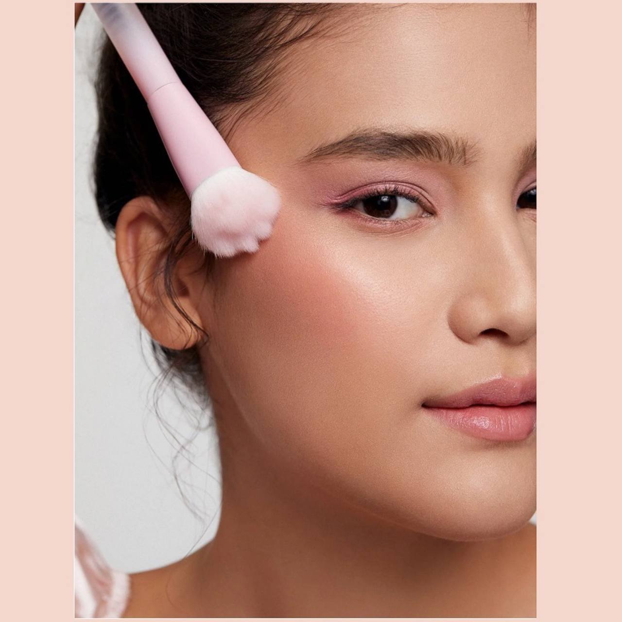 براش رژگونه پنجه گربه ای شیگلم
